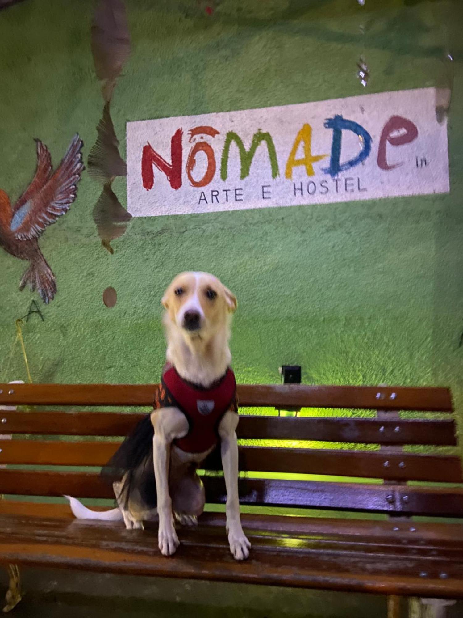 Nomade In Arte E Hostel Σάο Πάολο Εξωτερικό φωτογραφία